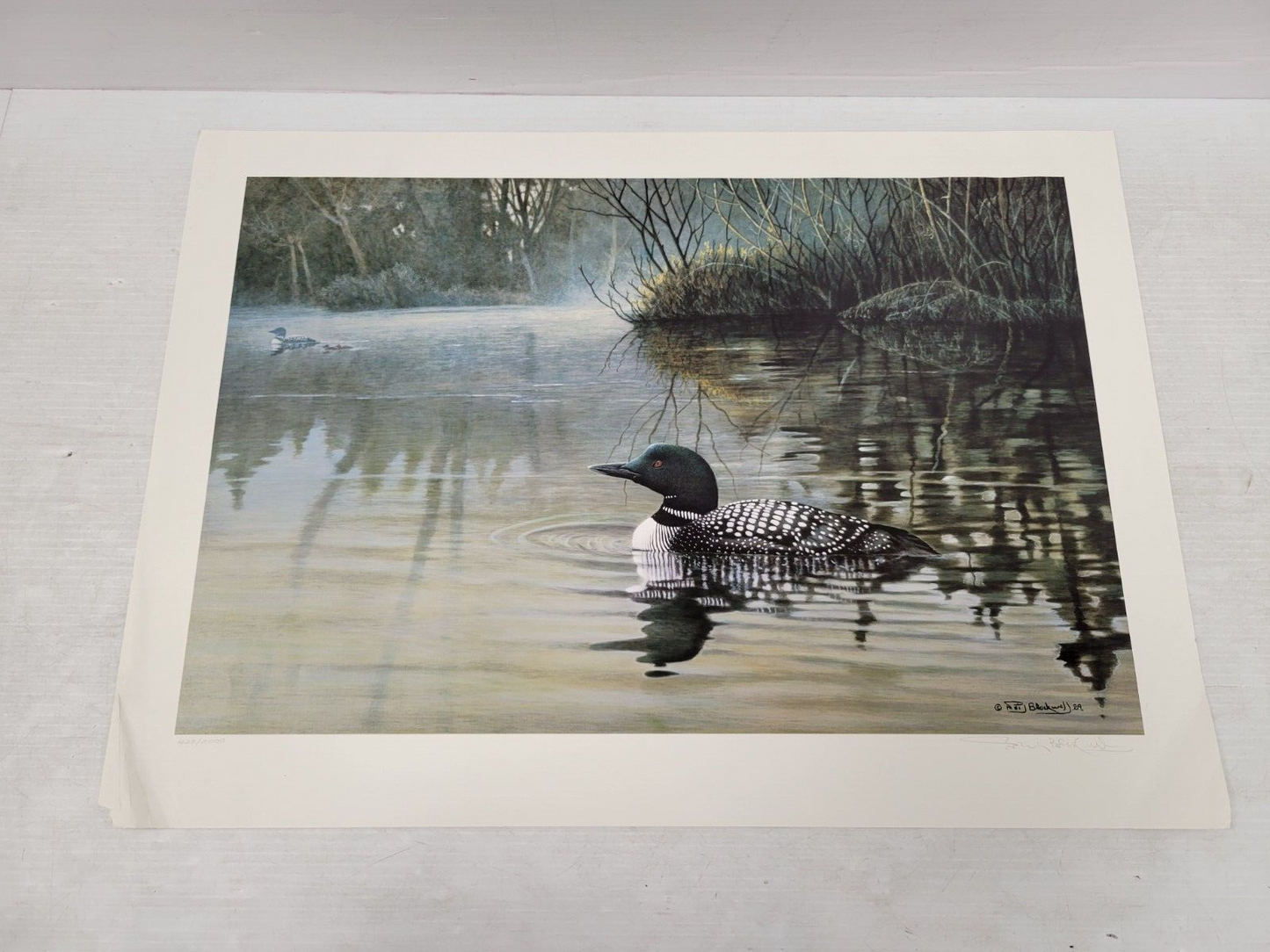(I-34692) Wildlife In Jeopardy Serenity - Common Loon Nell Blackwell