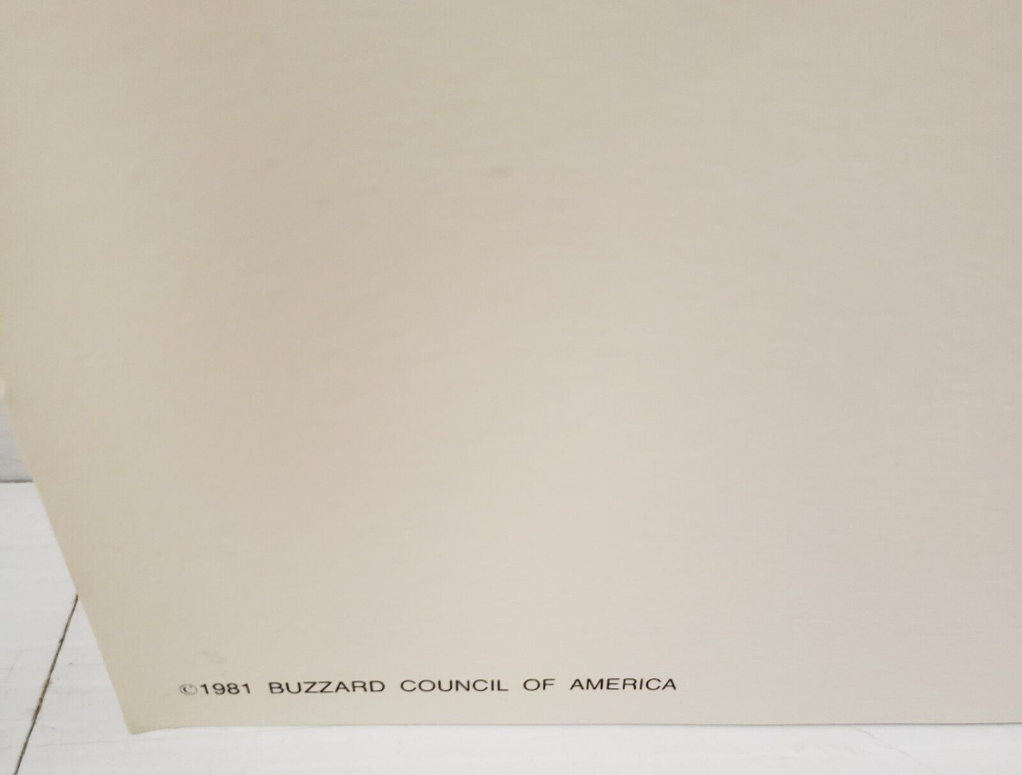 (I-34660) Buzzard Council Of America 1981 By Robert K Abbett Print