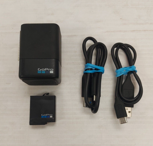(NI-20546) GoPro Battery charger AADBD-001